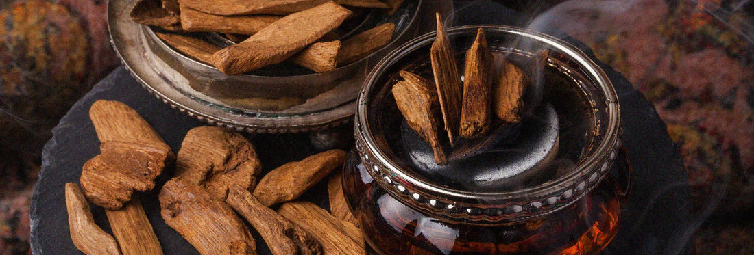 From Tradition to Transformation: The Power of Oud