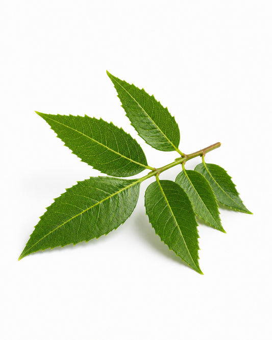 Neem